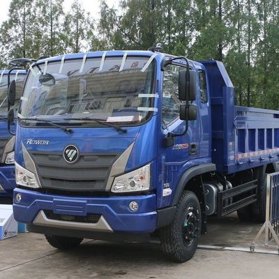 Futian Ruiwo Dajingang Es3 160 caballos de fuerza 4X2 4,15 metros camión BJ3103DGJEA-FB